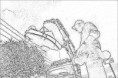 /album/fotogalleri/thor-sketch-jpg/